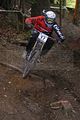 648__DSC0090 (3)